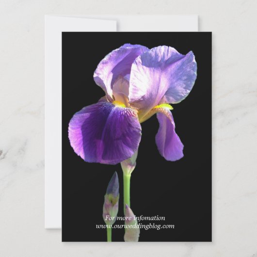 Faire-part de mariage de fleur d'iris pourpre (Dos)