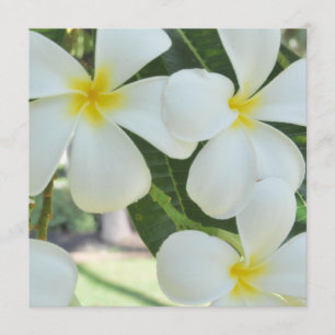 Faire-part de mariage de la Plumeria hawaïenne