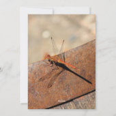 Faire-part de mariage de libellules (Dos)