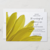 Faire-part de mariage de pétales de fleurs de marg (Devant)