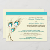 Faire-part de mariage de plumes de paon (aqua) (Devant / Derrière)