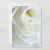 Faire-part de mariage de rose blanche moderne (Dos)