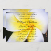 Faire-part de mariage des fleurs frangipaniennes d (Devant / Derrière)