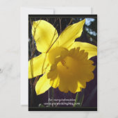 faire-part de mariage fleur de jonquille ensoleill (Dos)