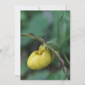 Faire-part de mariage jaune de fleur de Madame (Dos)