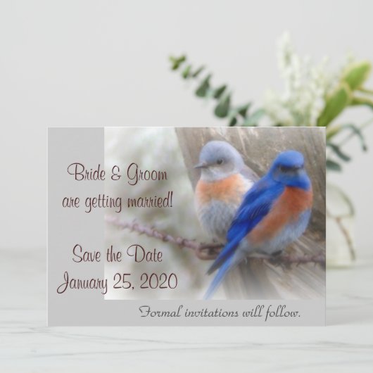 Faire-part de mariage Mésange Bleue (Debout devant)