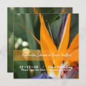 Faire-part de mariage oiseau tropical de paradis (Devant / Derrière)