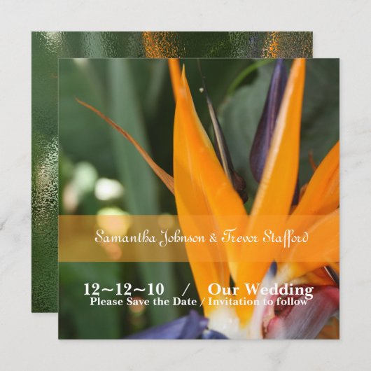 Faire-part de mariage oiseau tropical de paradis (Devant / Derrière)