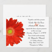 Faire-part de mariage orange élégant de marguerite (Devant / Derrière)