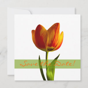 Faire-part de mariage Orange Tulip à conserver pou