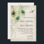 Faire-part de mariage Peacock Feathers<br><div class="desc">Version à un côté. C'est une invitation contemporaine et sophistiquée. Doté de plumes Peacock stylisées,  de couleur pastel,  sur une dentelle peinte à la main et arrière - plan parchemin avec votre choix de couleur de bordure arrière - plan,  montré ici en violet paon.</div>