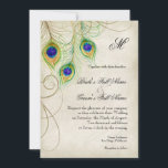 Faire-part de mariage Peacock Feathers<br><div class="desc">C'est une invitation contemporaine et sophistiquée. Doté de plumes Peacock stylisées,  de couleur pastel,  sur une dentelle peinte à la main et arrière - plan parchemin avec votre choix de couleur de bordure arrière - plan,  montré ici en violet paon. VOUS POURREZ ÉGALEMENT PROFITER :</div>