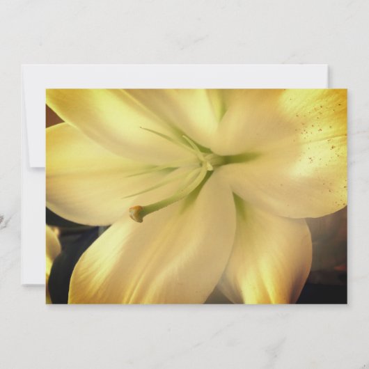 Faire-part de mariage photo Lilium Flower (Dos)