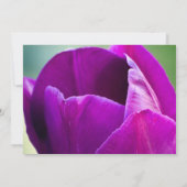 Faire-part de mariage pourpre de tulipe (Dos)