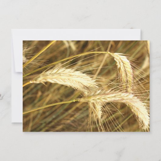 Faire-part de mariage rustique de ferme de champ (Dos)