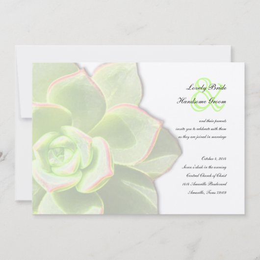 Faire-part de mariage succulent vert translucide (Devant)