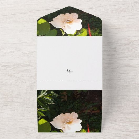 Faire-part de mariage tout en un (Dehors)