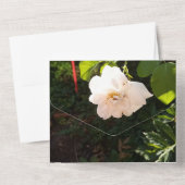 Faire-part de mariage tout en un (Verso)