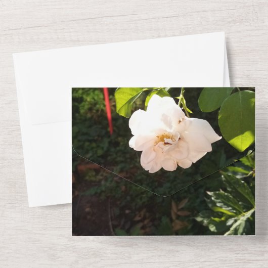 Faire-part de mariage tout en un (Verso)