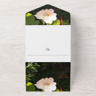 Faire-part de mariage tout en un