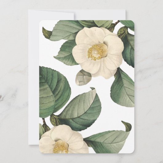 Faire-part de mariage Vintage blanc (Dos)