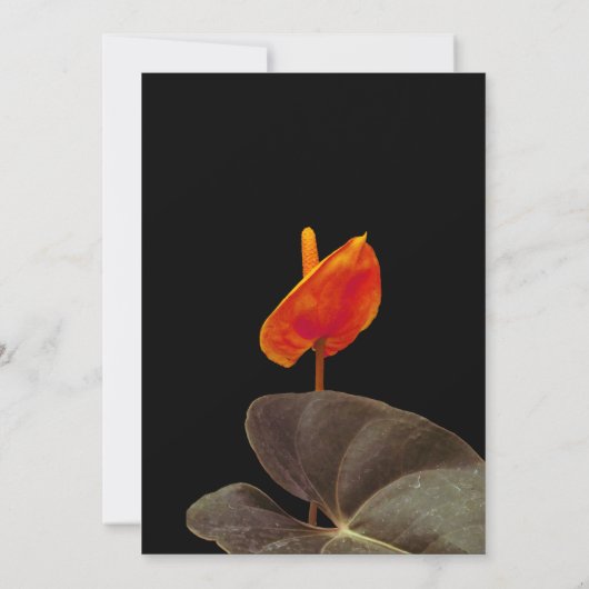 Faire-part de mariage, violet et noir (Dos)