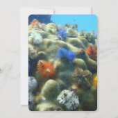 Faire-part de mariage | Vue sous-marine (Dos)