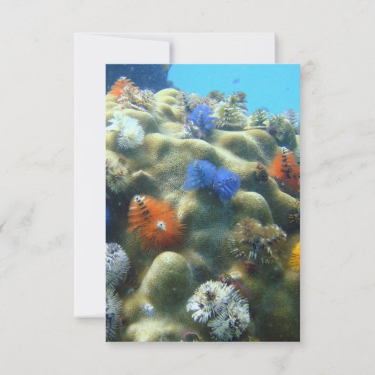 Faire-part de mariage | Vue sous-marine RSVP (Dos)