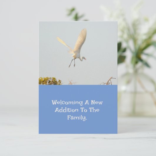 Faire-part de naissance Avec Flying Stork. (Debout devant)