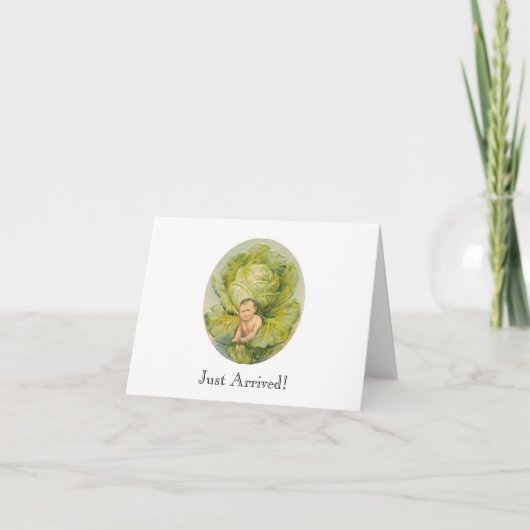 Faire-part de naissance de chou (Devant)
