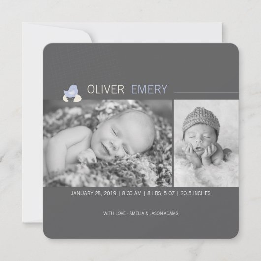 Faire-part de naissance de poussin à oeufs éclos (Devant)