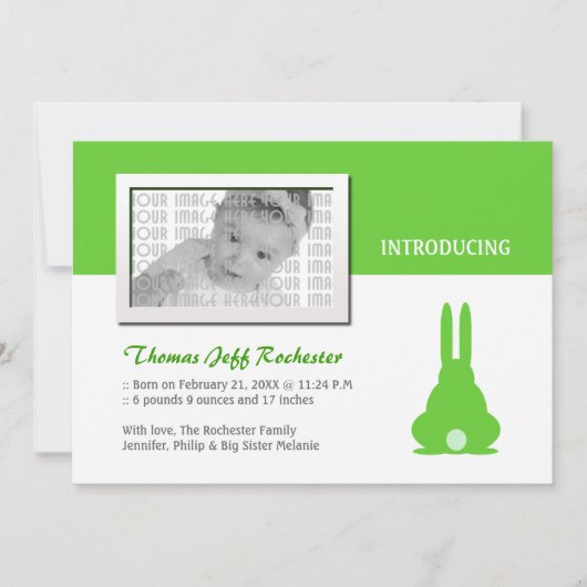 Faire-part de naissance lapin vert (Devant)