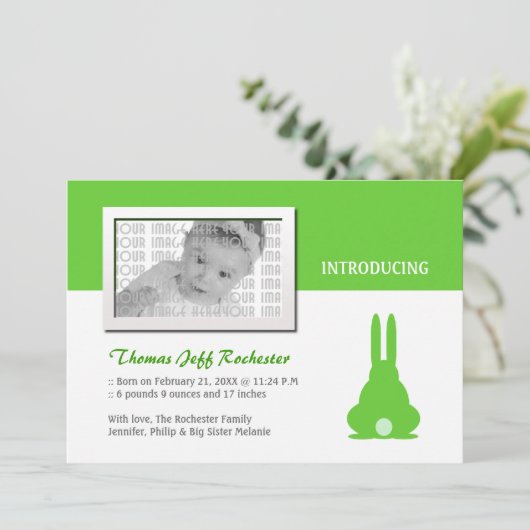 Faire-part de naissance lapin vert (Debout devant)