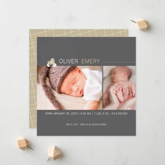 Faire-part de naissance Photo Poussin Bébé Poussin (Devant/Arrière en situation)