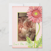 Faire-part de naissance photo rose Gerbera Daisy (Devant)