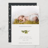 Faire-part de naissance pour bébé de la branche de (Devant / Derrière)