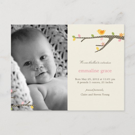 Faire-part de naissance Sweet Birdie Baby (Devant)