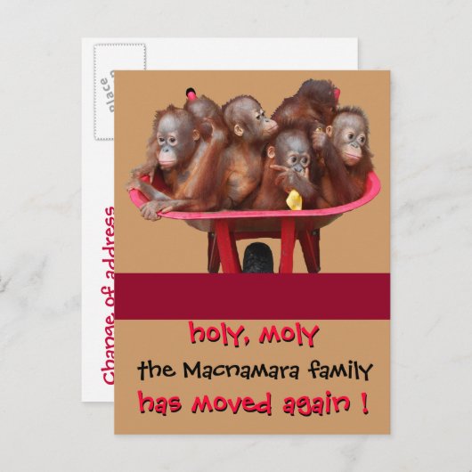 Faire-part de nouvelle adresse Fun Moving (Devant / Derrière)
