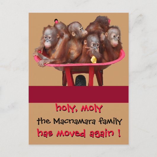 Faire-part de nouvelle adresse Fun Moving (Devant)