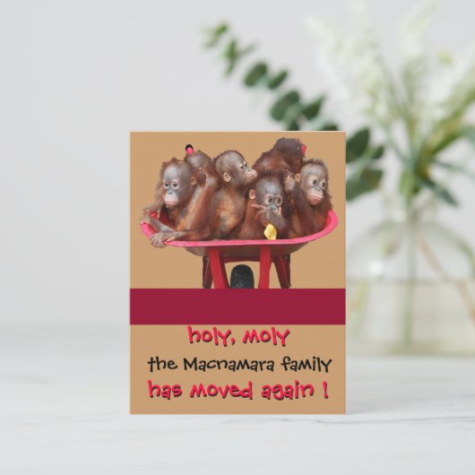 Faire-part de nouvelle adresse Fun Moving (Debout devant)