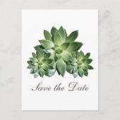 Faire-part de sauvegarde de succulente simple (Devant)