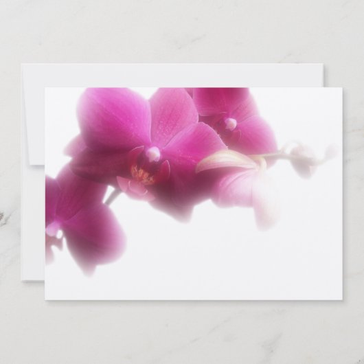 Faire-part de service commémoratif (Dos)