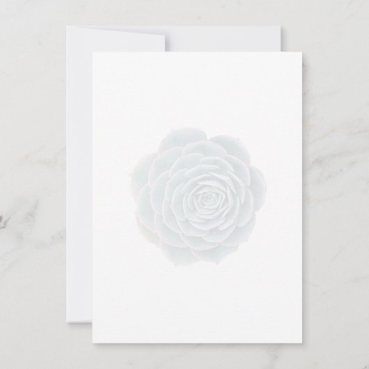 Faire-part de succulentes pour réception de mariag (Dos)