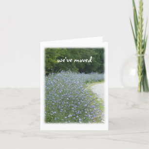 Faire-part Déplacement des fleurs chicorées