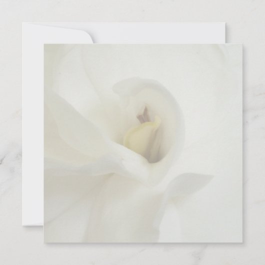 Faire-part d'invitation au service commémoratif (Dos)