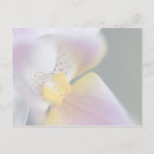 Faire-part ・ Enregistrer la carte postale Date (Dos)