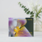 Faire-part ・ Enregistrer la carte postale Date (Debout devant)