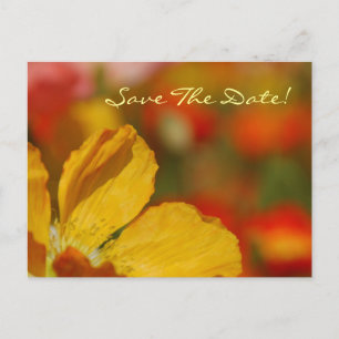 Faire-part Enregistrer La Carte Postale Date Poppy