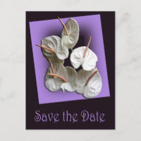 Enregistrer la date carte postale 2 - Anthuriums b