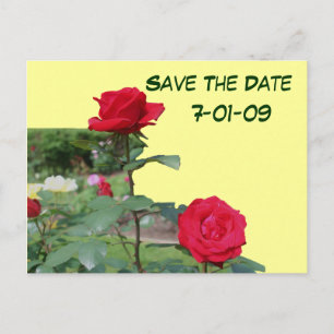 Faire-part Enregistrer La Date Carte Postale Photo Fleur Rose